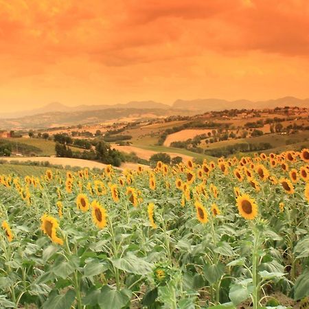 Casa Vacanze Angelica Ostra Vetere Buitenkant foto
