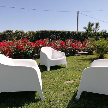 Casa Vacanze Angelica Ostra Vetere Buitenkant foto
