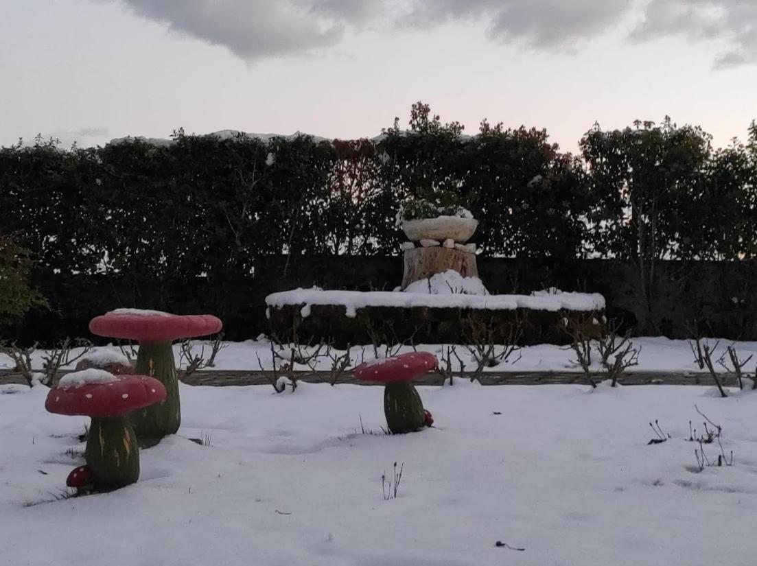 Casa Vacanze Angelica Ostra Vetere Buitenkant foto