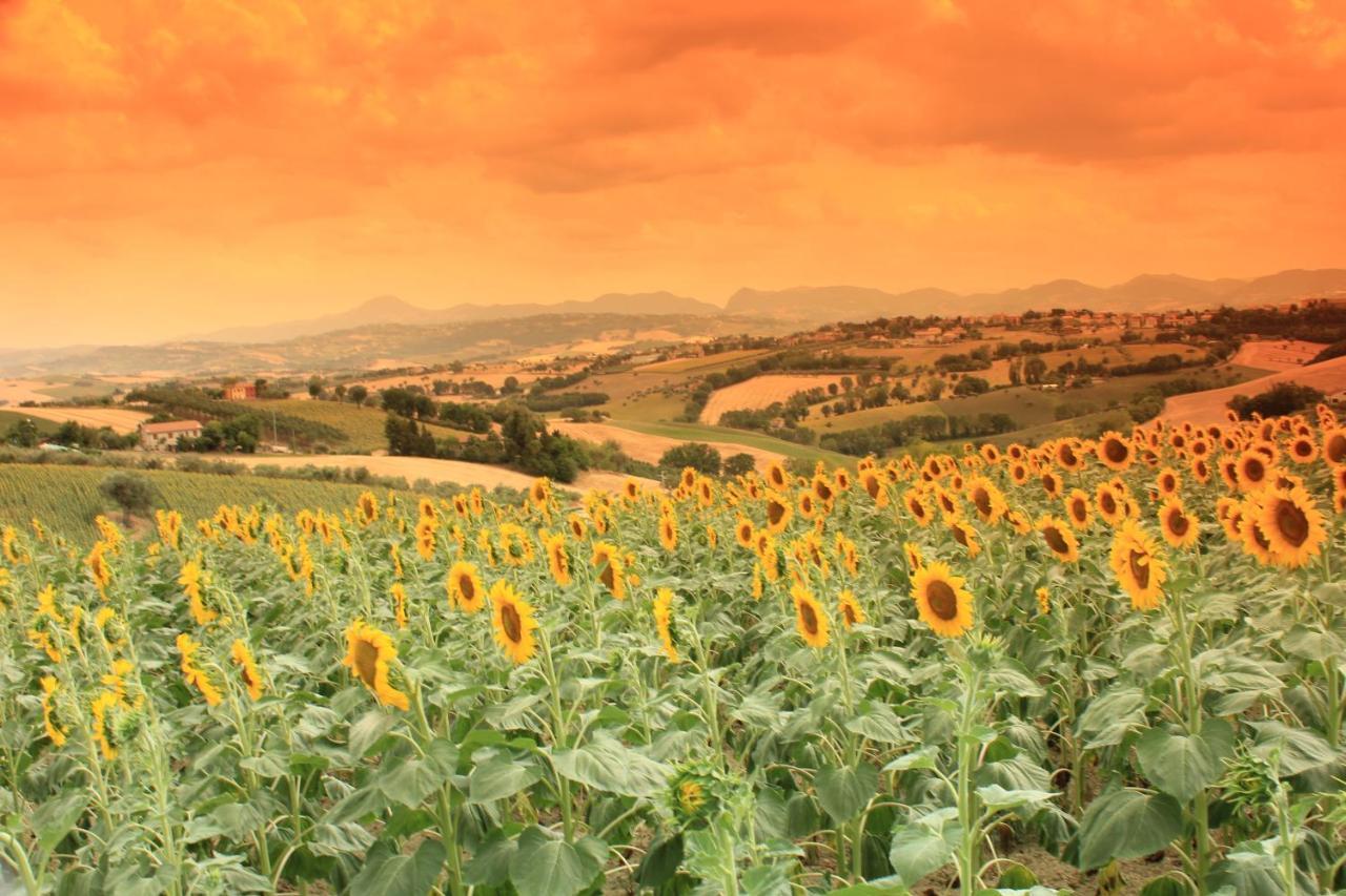 Casa Vacanze Angelica Ostra Vetere Buitenkant foto
