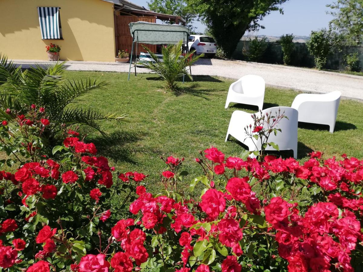 Casa Vacanze Angelica Ostra Vetere Buitenkant foto