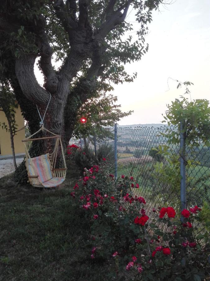 Casa Vacanze Angelica Ostra Vetere Buitenkant foto