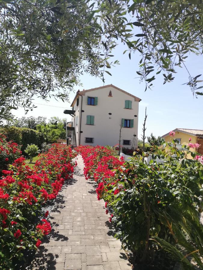 Casa Vacanze Angelica Ostra Vetere Buitenkant foto