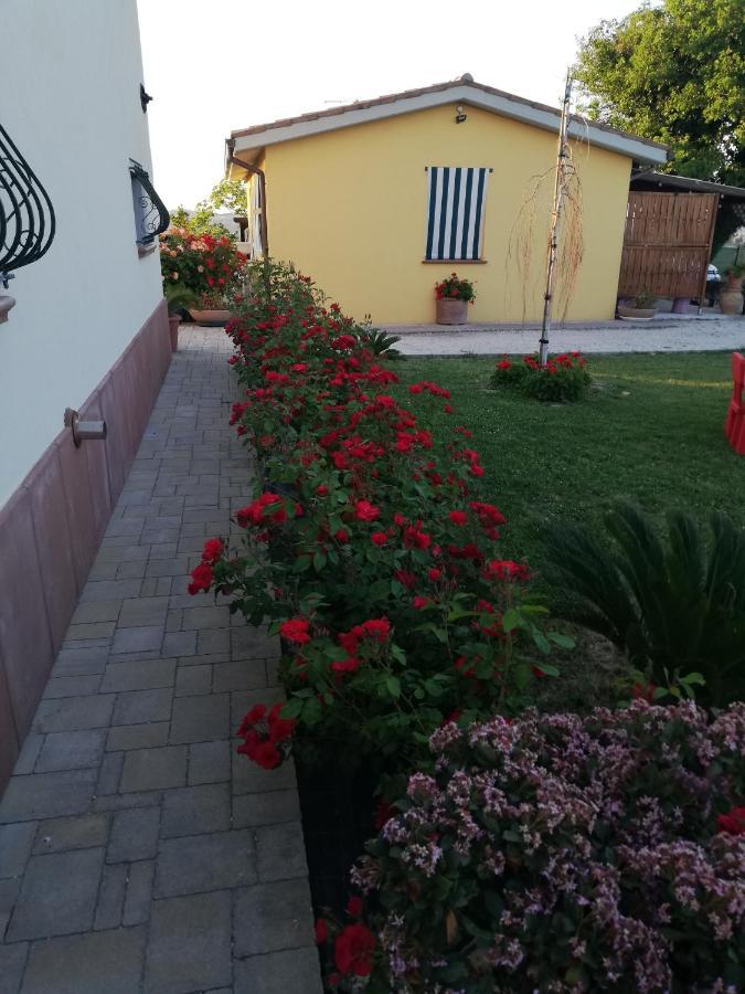 Casa Vacanze Angelica Ostra Vetere Buitenkant foto