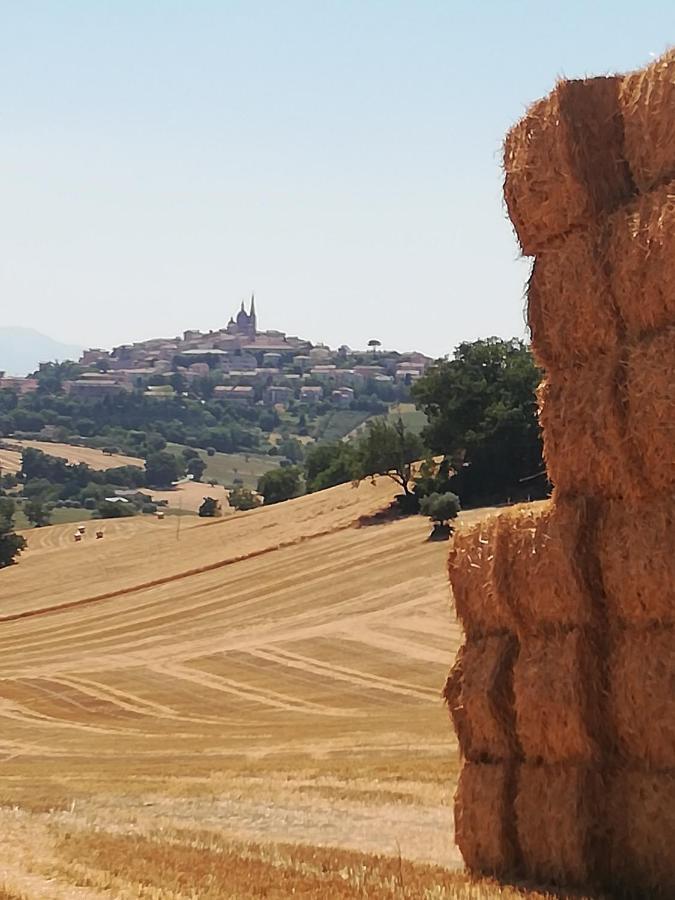 Casa Vacanze Angelica Ostra Vetere Buitenkant foto