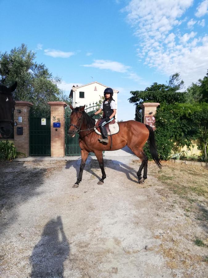 Casa Vacanze Angelica Ostra Vetere Buitenkant foto