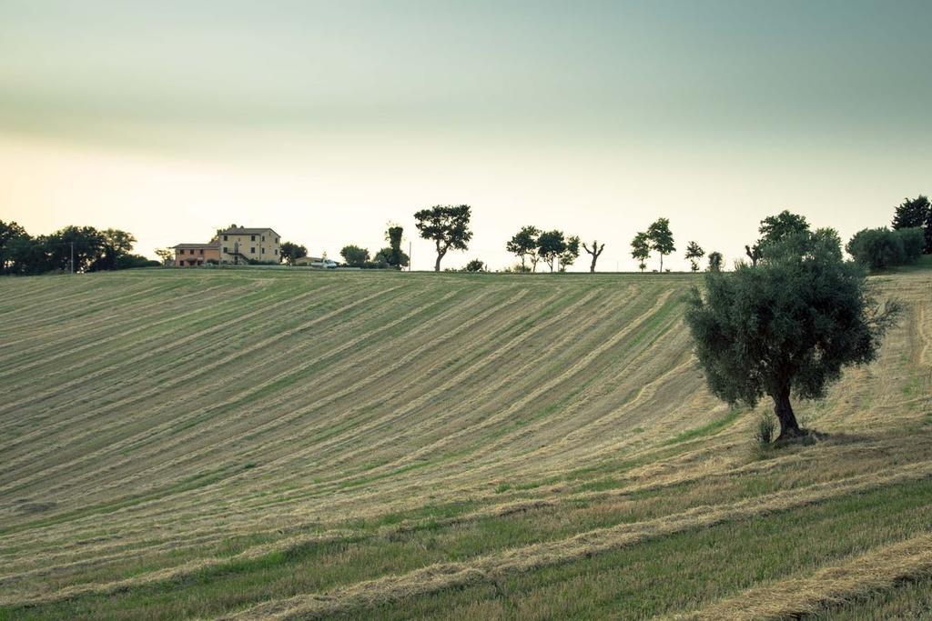 Casa Vacanze Angelica Ostra Vetere Buitenkant foto